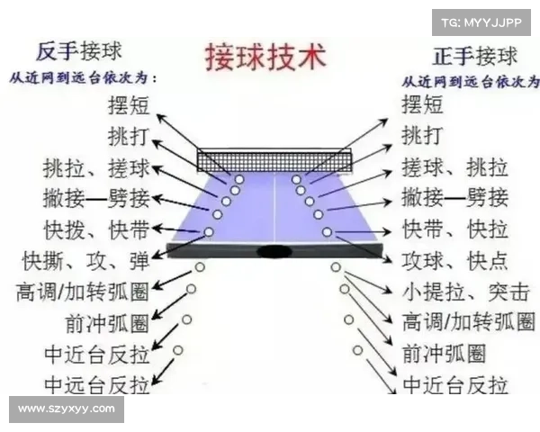 乒乓球网的设计原理与发展历程探究及其对比赛影响的分析 乒乓球网的设计原理与发展历程探究及其对比赛影响的分析